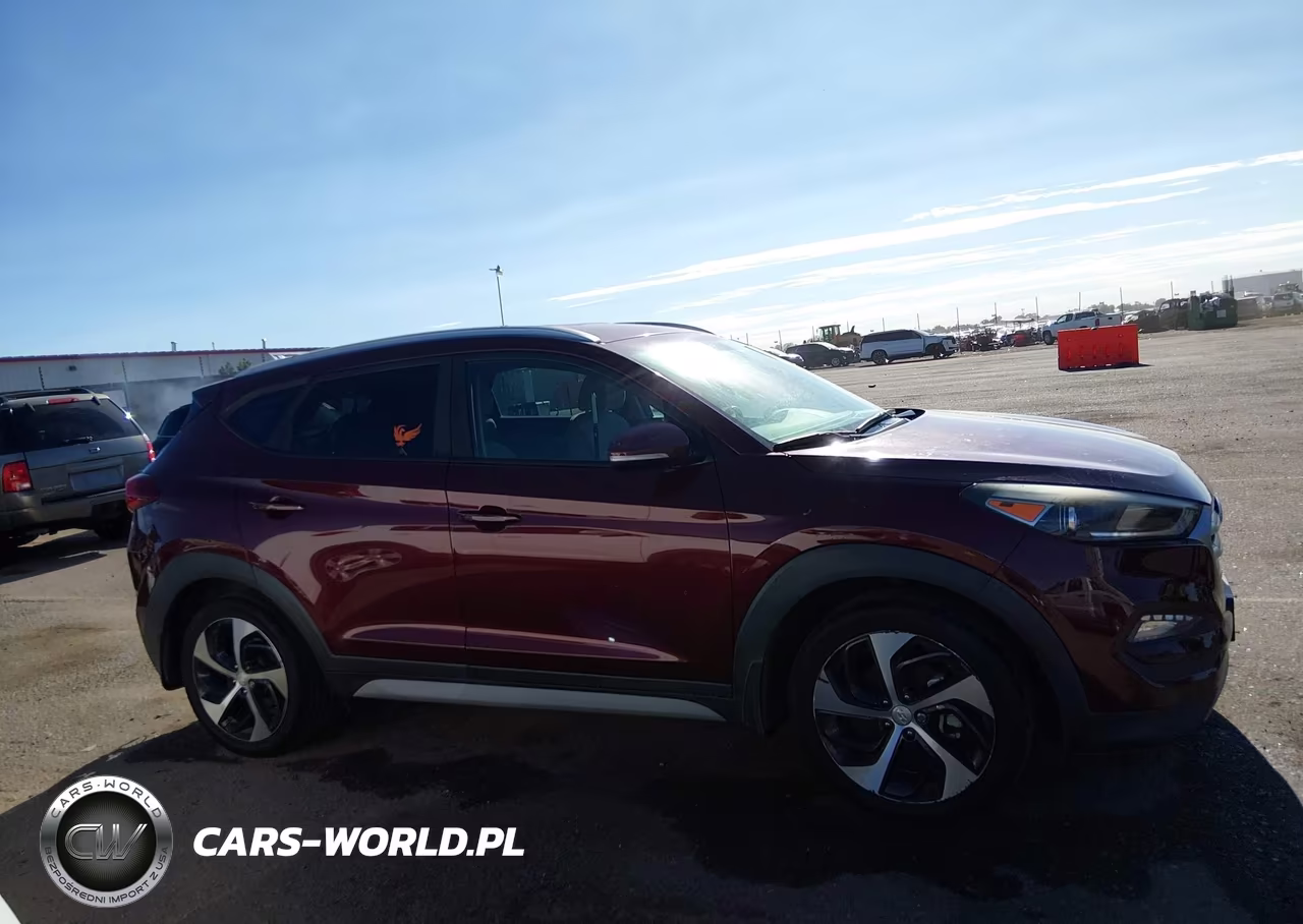 2017 Hyundai Tucson Sport VIN:KM8J3CA2XHU379876 - 13