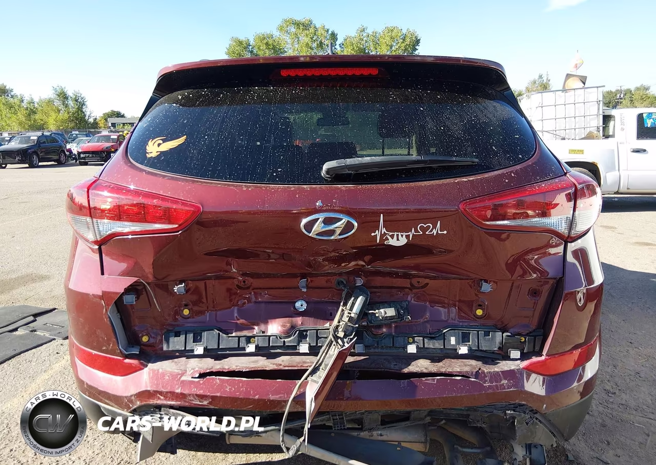 2017 Hyundai Tucson Sport VIN:KM8J3CA2XHU379876 - 16