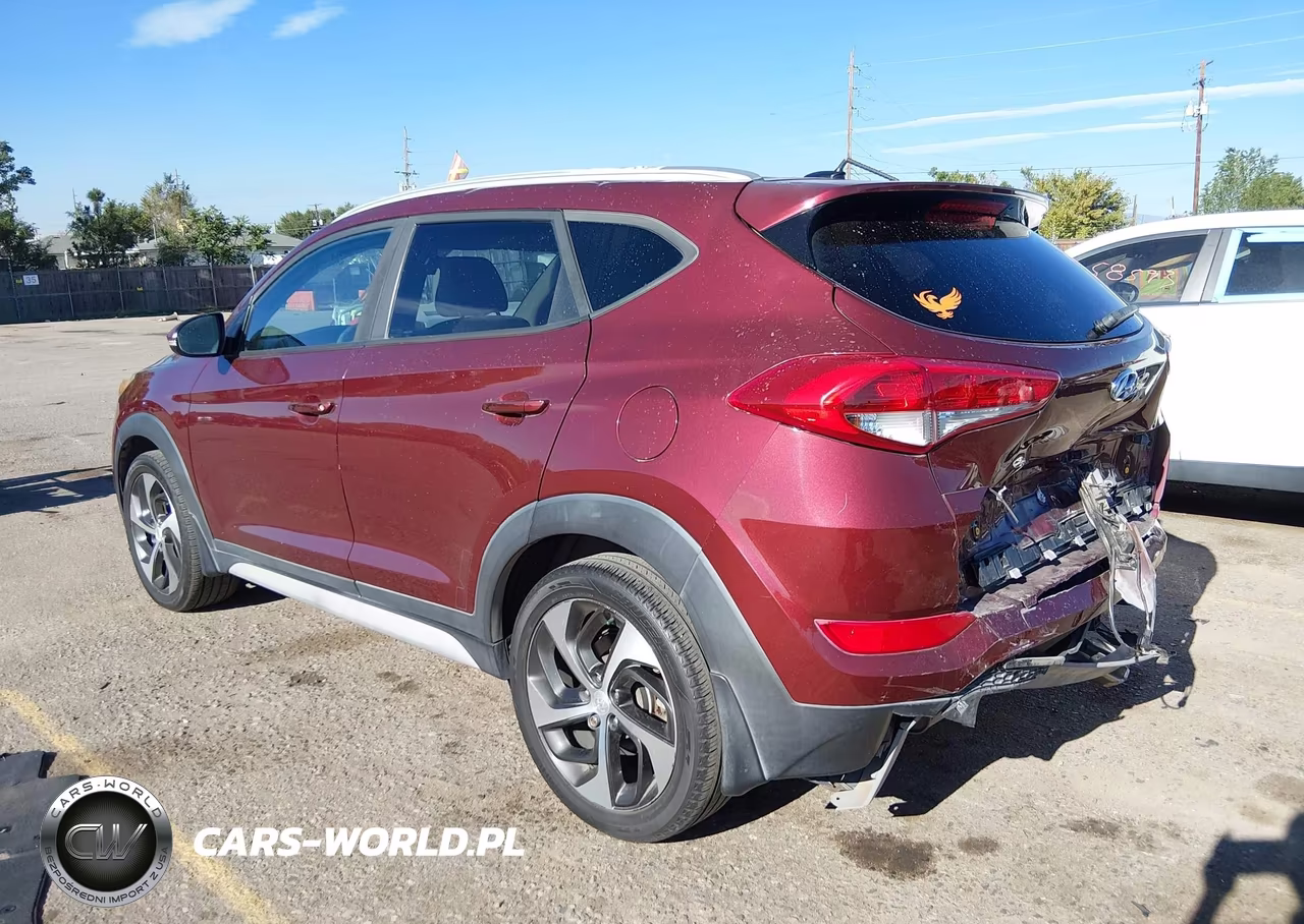 2017 Hyundai Tucson Sport VIN:KM8J3CA2XHU379876 - 3