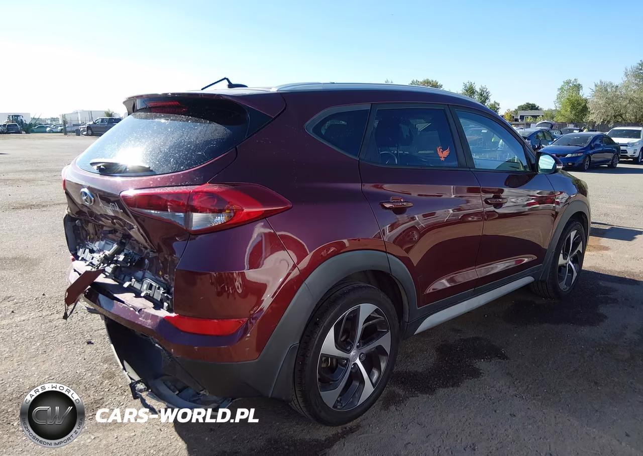 2017 Hyundai Tucson Sport VIN:KM8J3CA2XHU379876 - 4