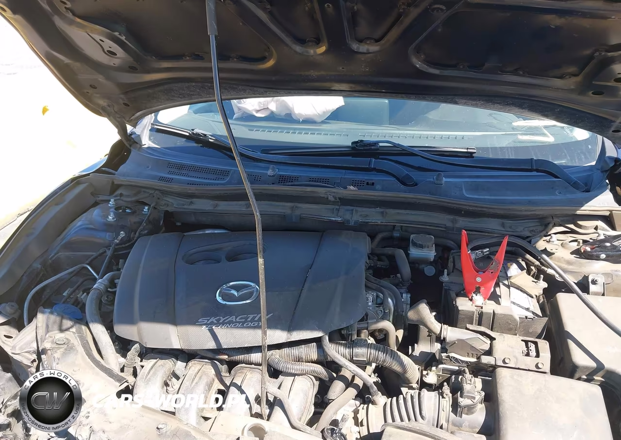 2016 Mazda Mazda3 I Sport VIN:JM1BM1K76G1318299 - 10