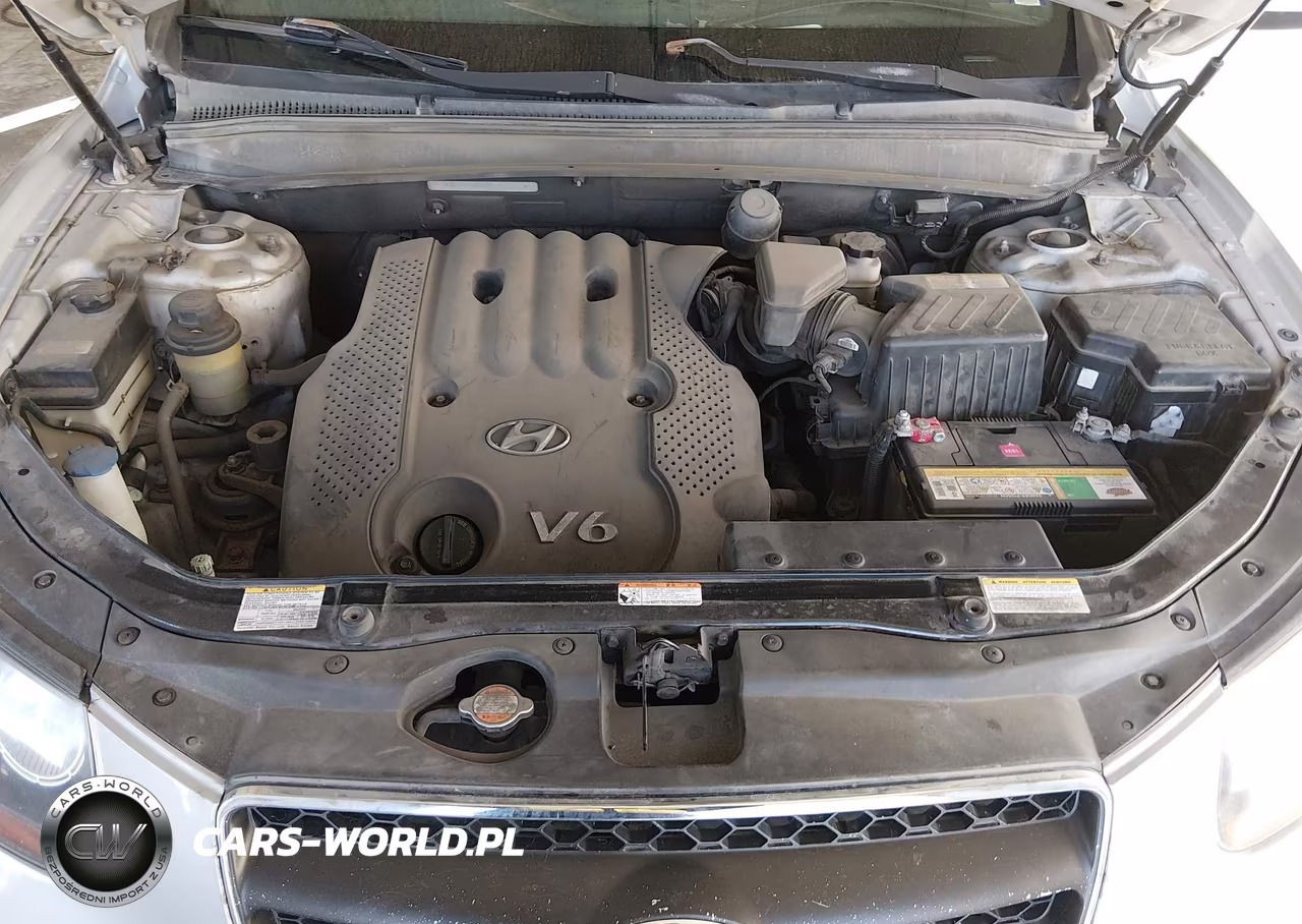 2007 Hyundai Santa Fe Gls VIN:KM8SG73D47U148484 - 10