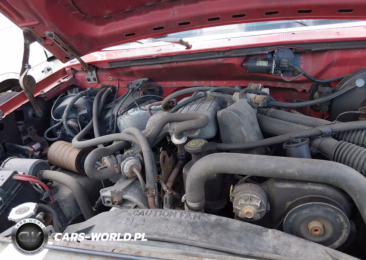 1993 Ford F150 VIN:1FTDF15Y6PLA66985 - 10