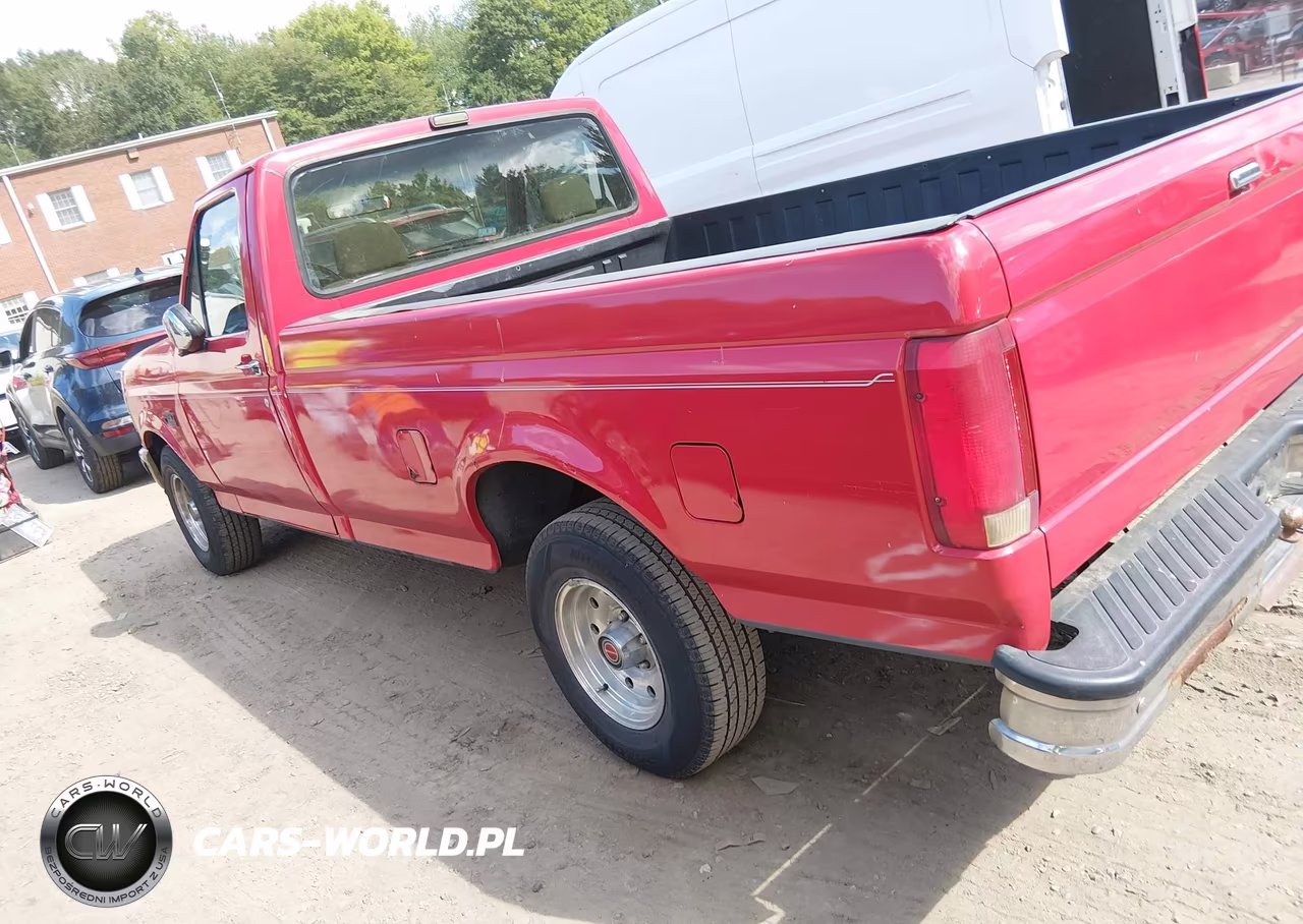 1993 Ford F150 VIN:1FTDF15Y6PLA66985 - 3
