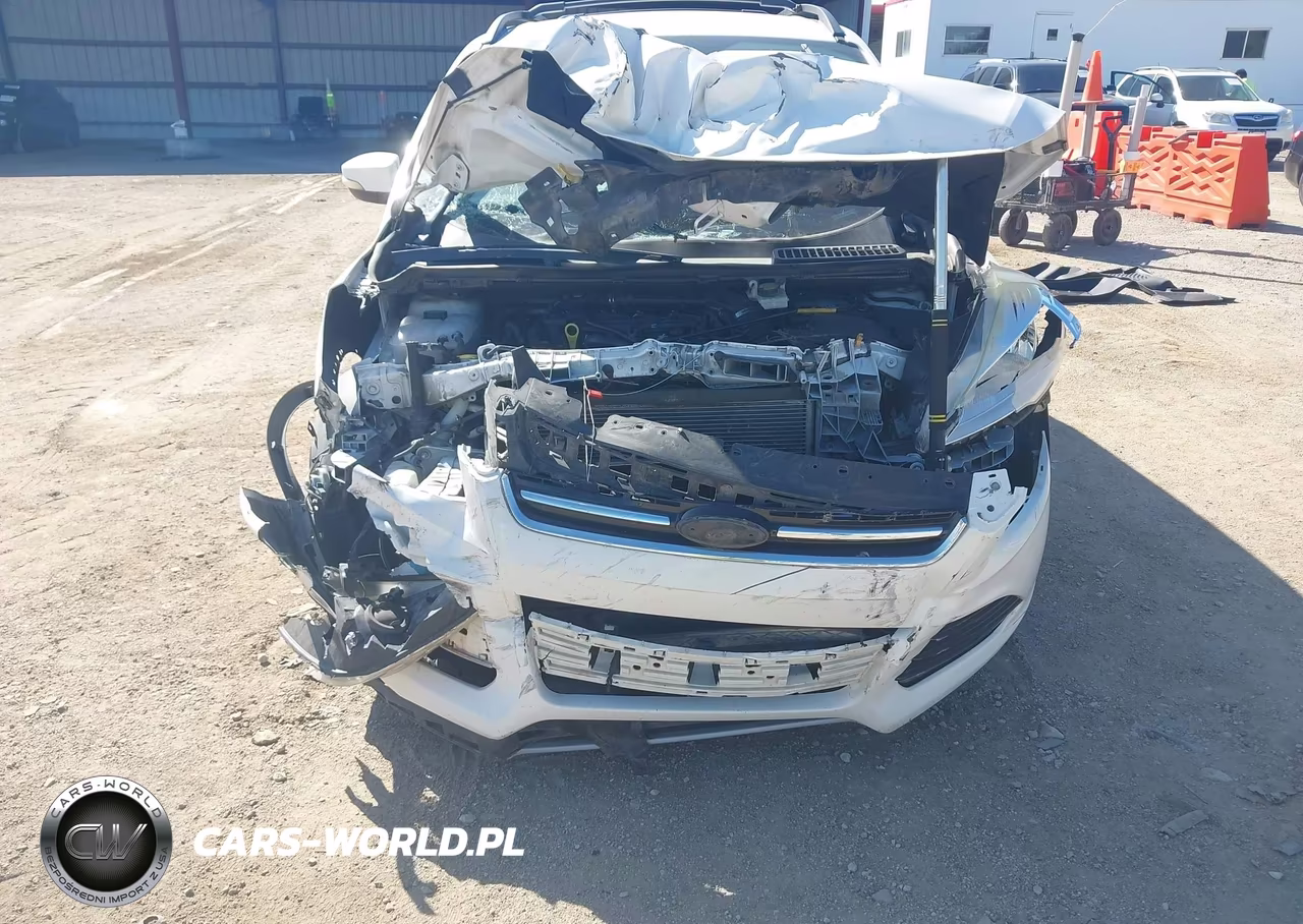 2013 Ford Escape Sel VIN:1FMCU0HX9DUD77570 - 10