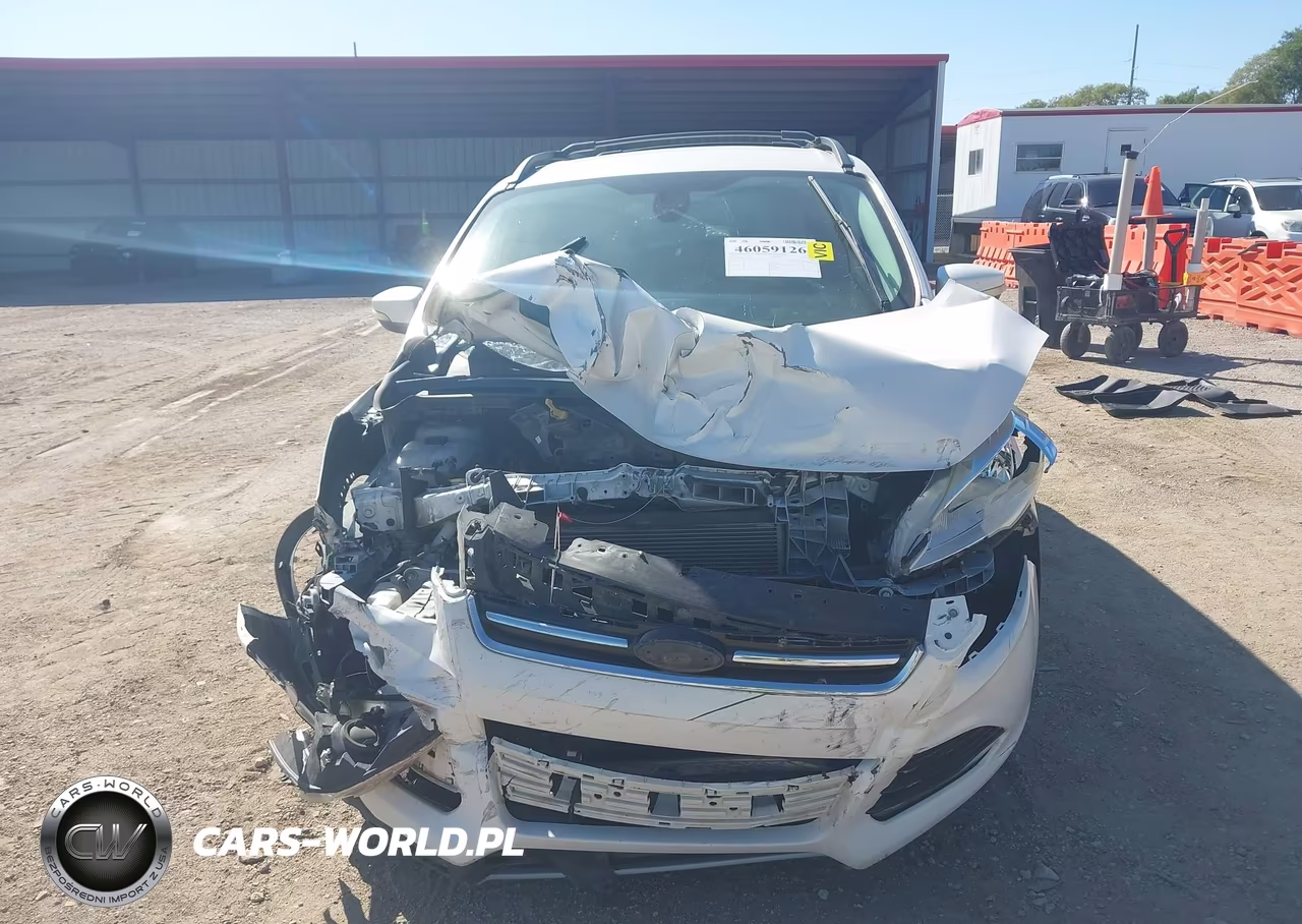 2013 Ford Escape Sel VIN:1FMCU0HX9DUD77570 - 12