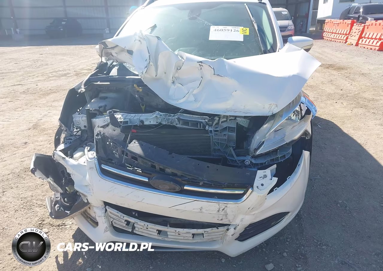 2013 Ford Escape Sel VIN:1FMCU0HX9DUD77570 - 6