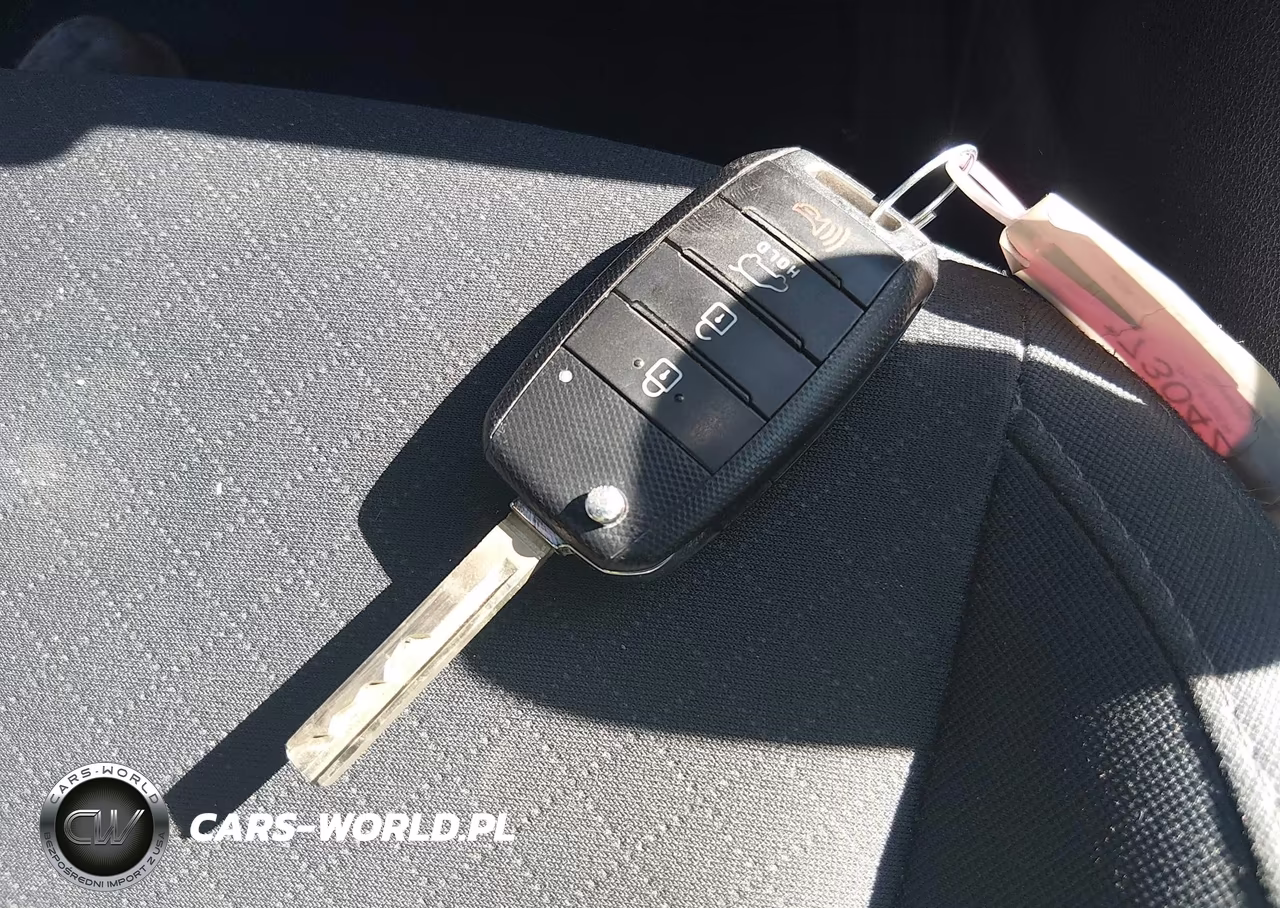 2020 Kia Sorento 2.4L Lx VIN:5XYPG4A30LG691927 - 11