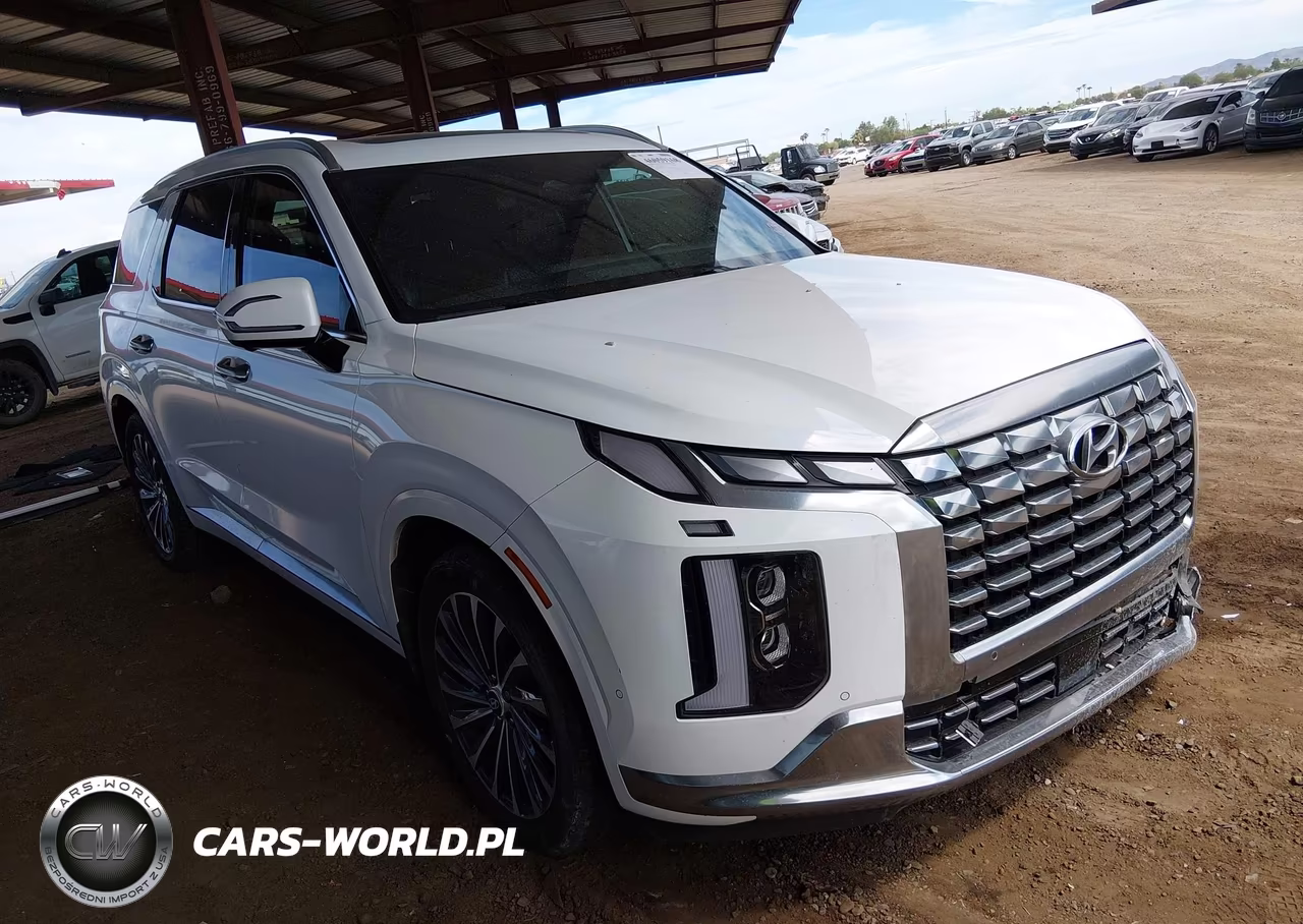 2023 Hyundai Palisade Calligraphy VIN:KM8R74GE5PU620675 - 1