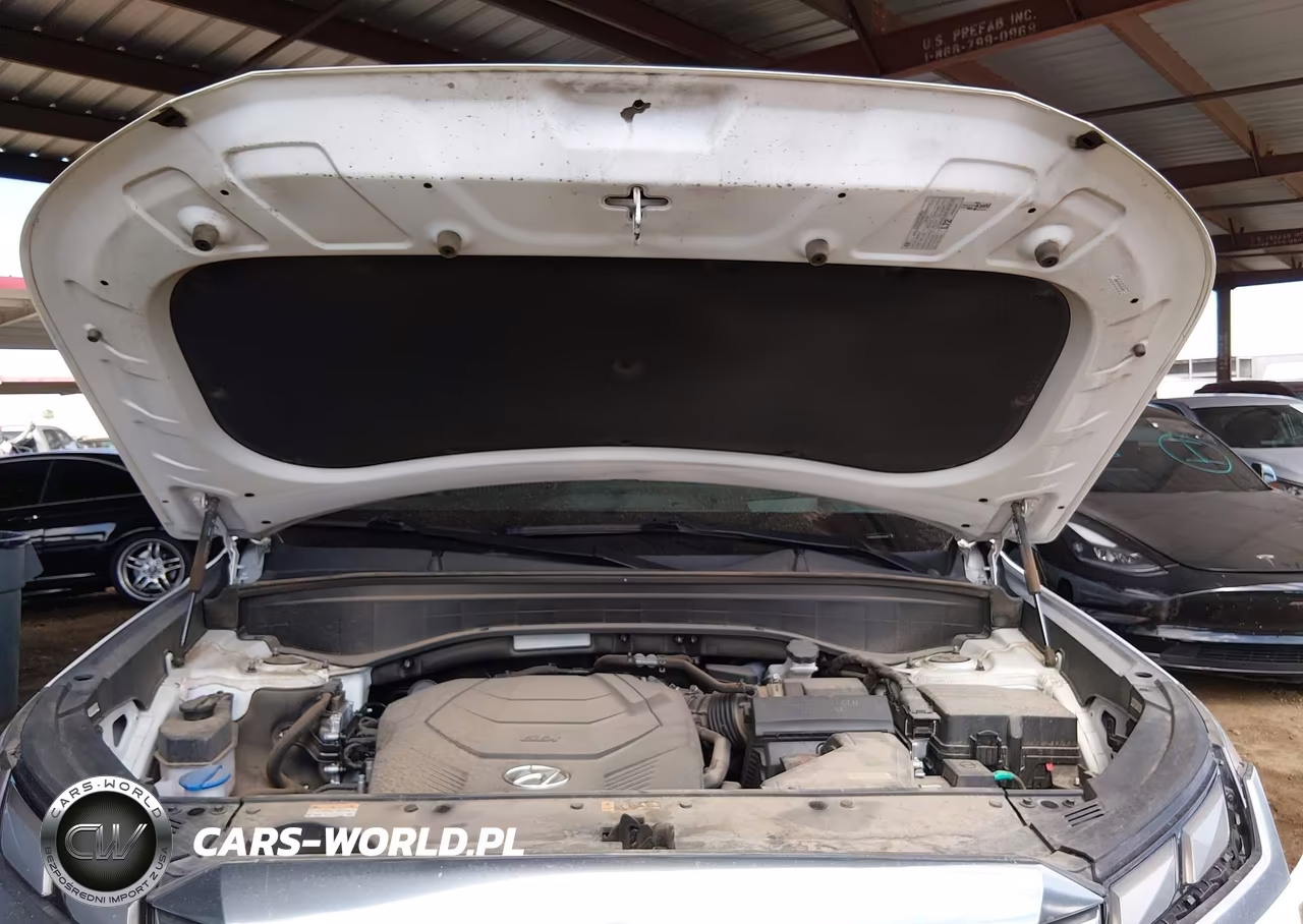 2023 Hyundai Palisade Calligraphy VIN:KM8R74GE5PU620675 - 10