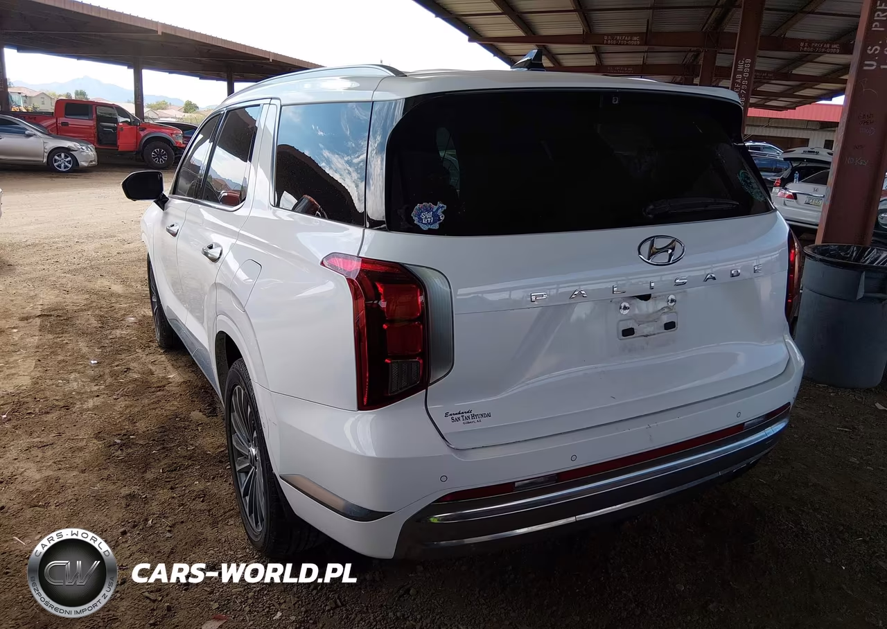 2023 Hyundai Palisade Calligraphy VIN:KM8R74GE5PU620675 - 3