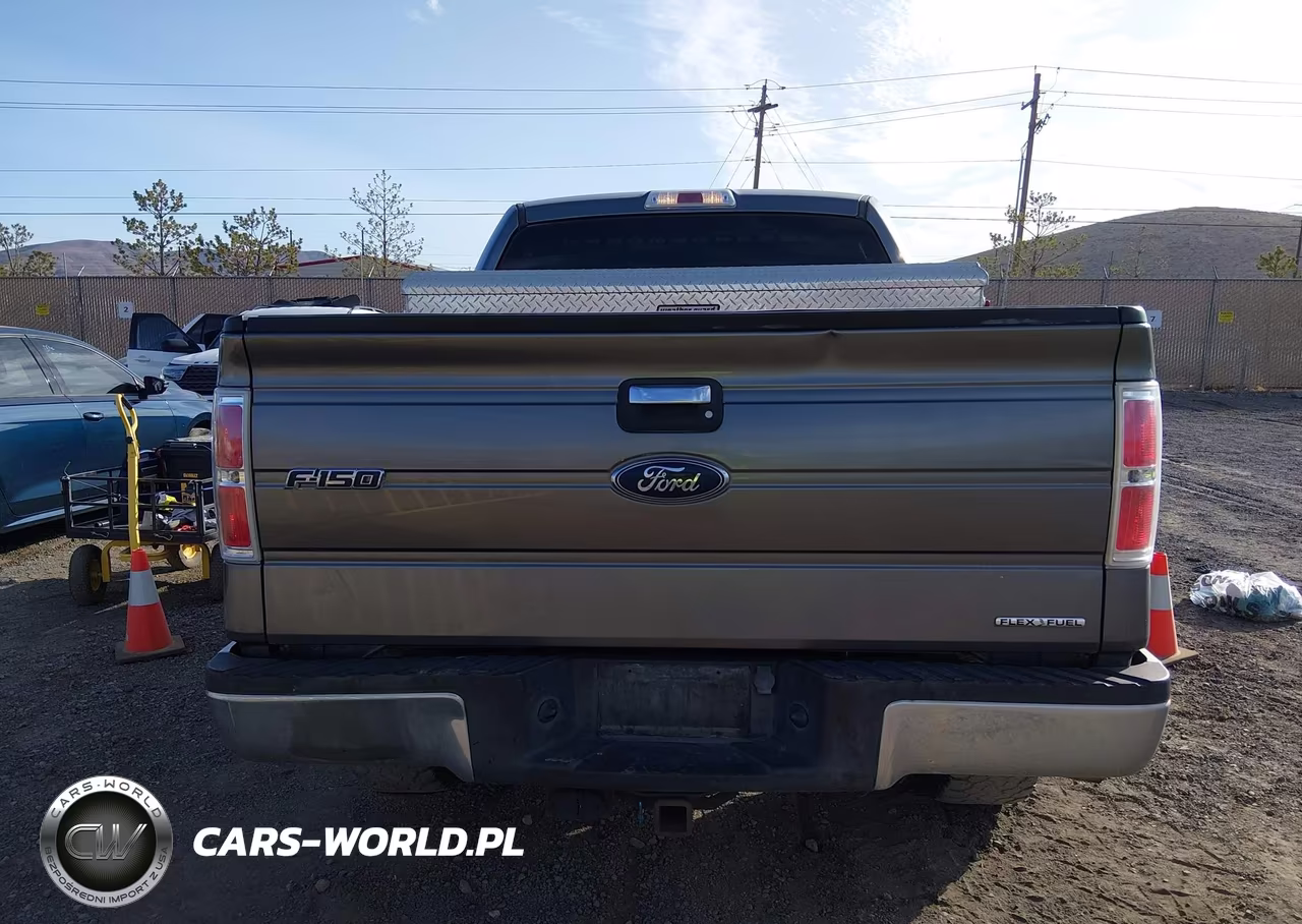 2012 Ford F-150 Xlt VIN:1FTFW1EF9CFD02514 - 16