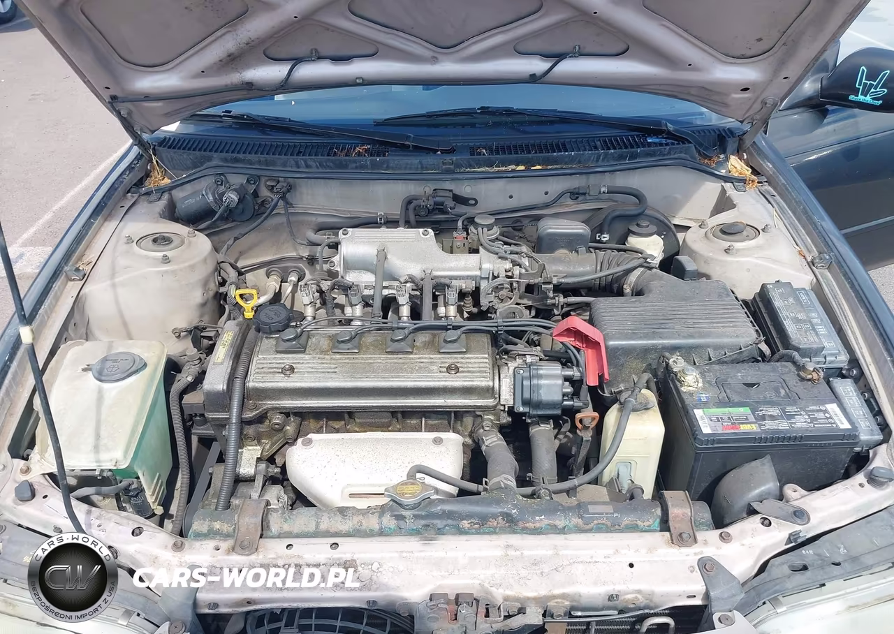 1995 Toyota Corolla Le-Dx VIN:JT2AE09B8S0093694 - 10