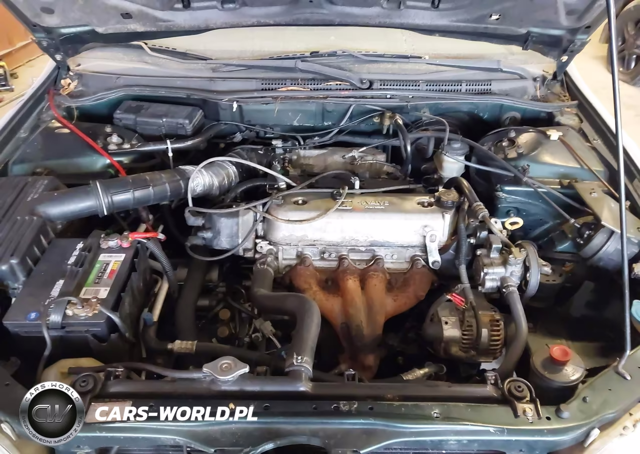 1998 Honda Accord Lx VIN:1HGCG5644WA141674 - 10