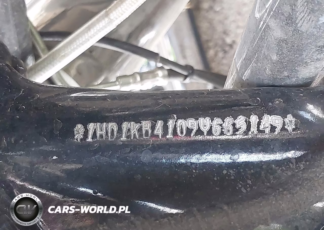 2009 Harley-Davidson Flhx VIN:1HD1KB4109Y665149 - 10