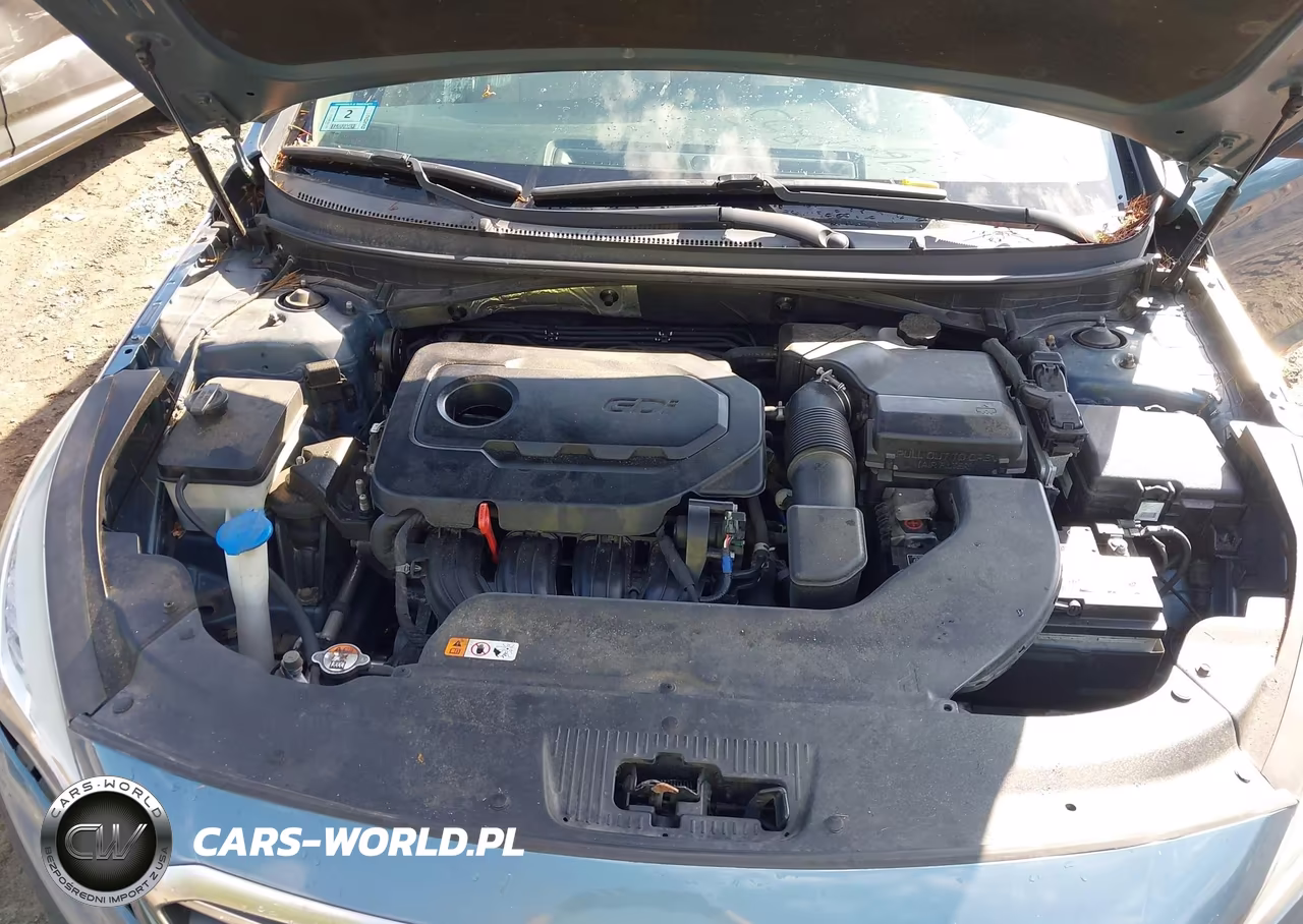 2017 Hyundai Sonata Se VIN:5NPE24AF0HH490335 - 10