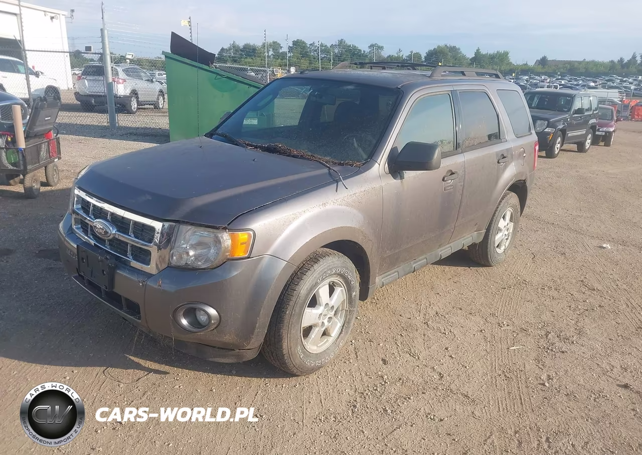 2010 Ford Escape Xlt VIN:1FMCU9D7XAKC49985 - 2