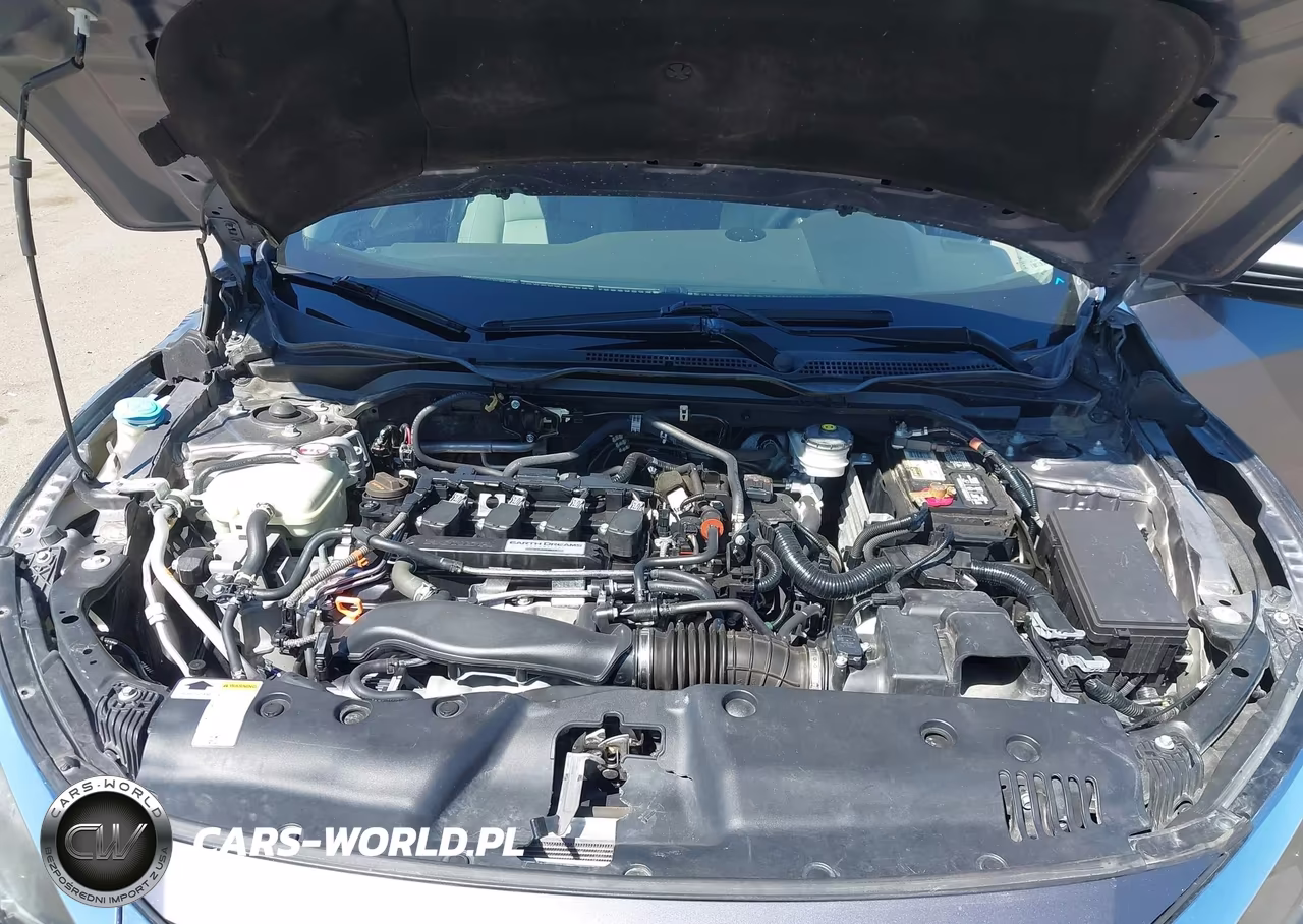 undefined VIN:19XFC1F35LE201428 - 10
