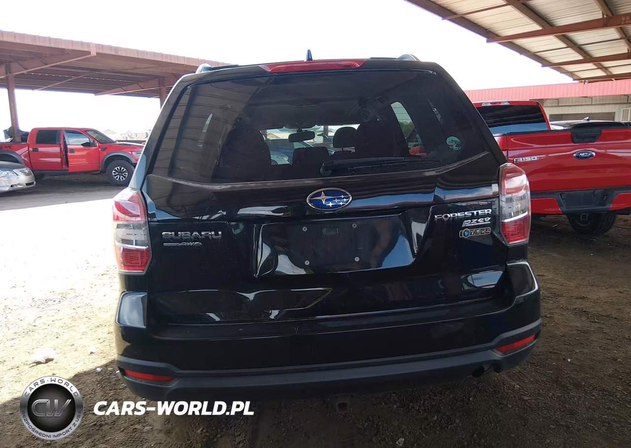 2016 Subaru Forester 2.5I Premium VIN:JF2SJADC1GG469620 - 16