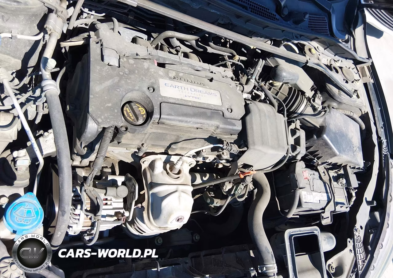 2014 Honda Accord Ex-L VIN:1HGCR2F83EA198877 - 10