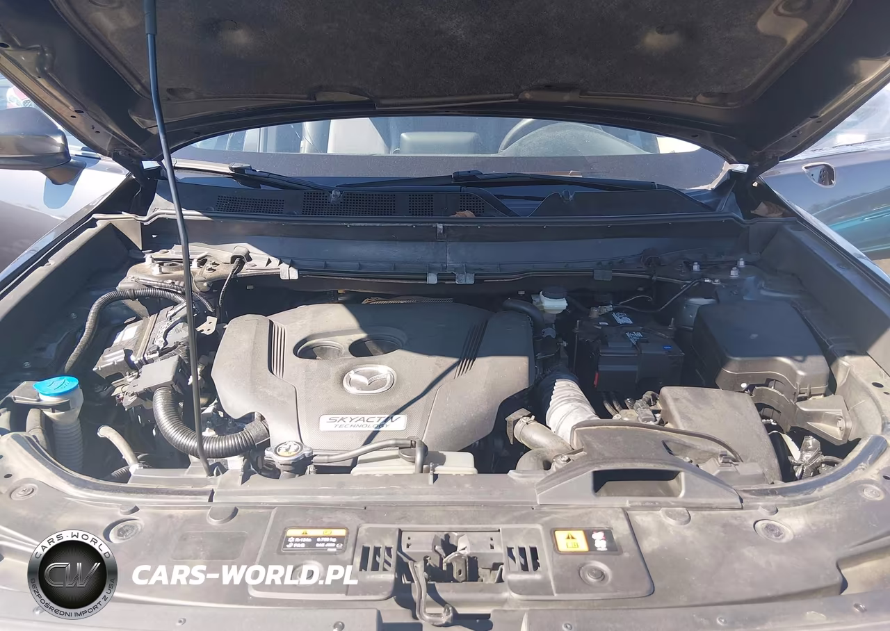 2018 Mazda Cx-9 Touring VIN:JM3TCBCY4J0203600 - 10