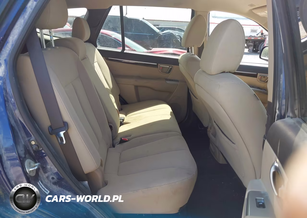 2010 Hyundai Santa Fe Gls VIN:5NMSGDAB2AH415706 - 8