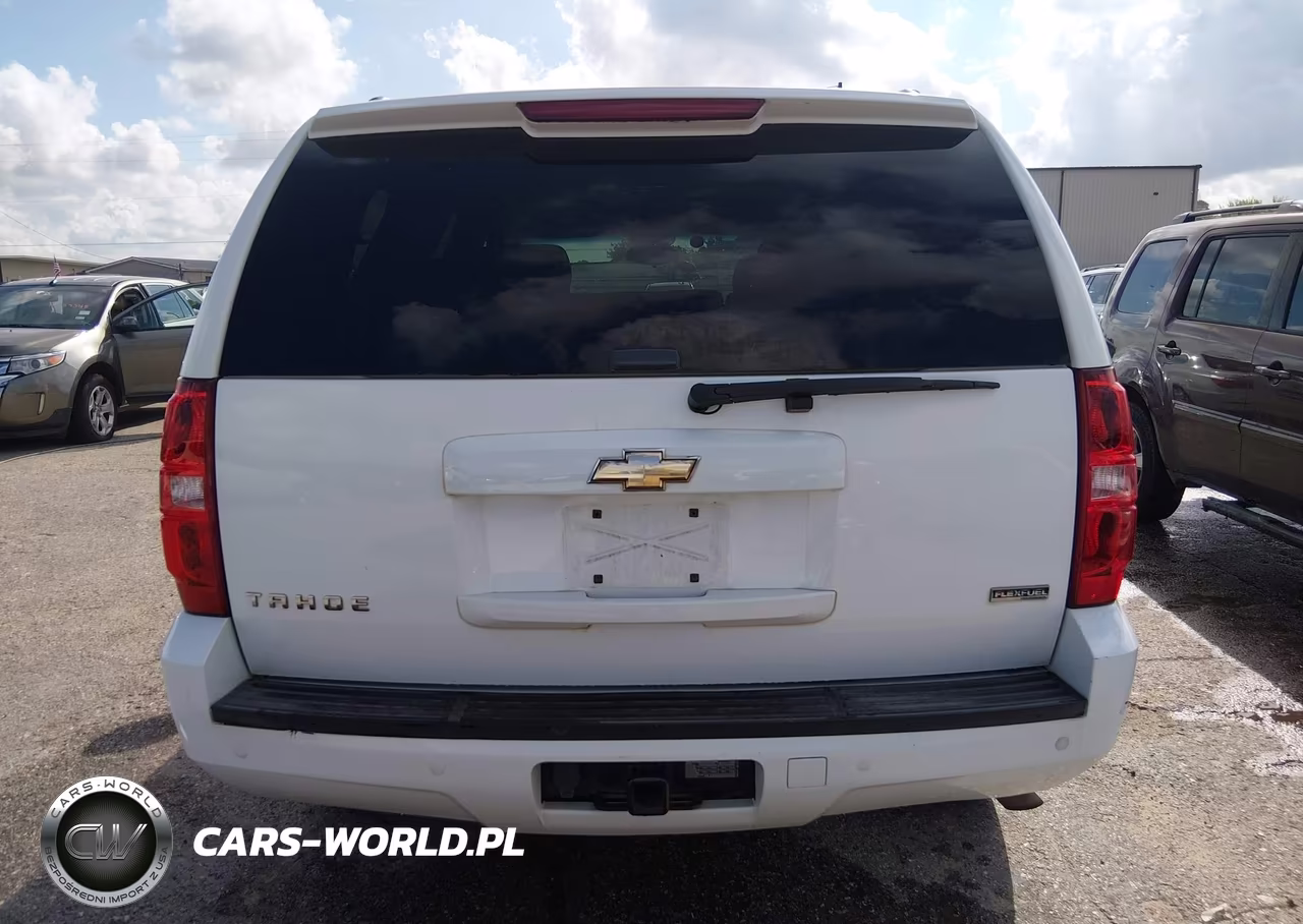 2010 Chevrolet Tahoe Ls VIN:1GNUKAE03AR195073 - 16