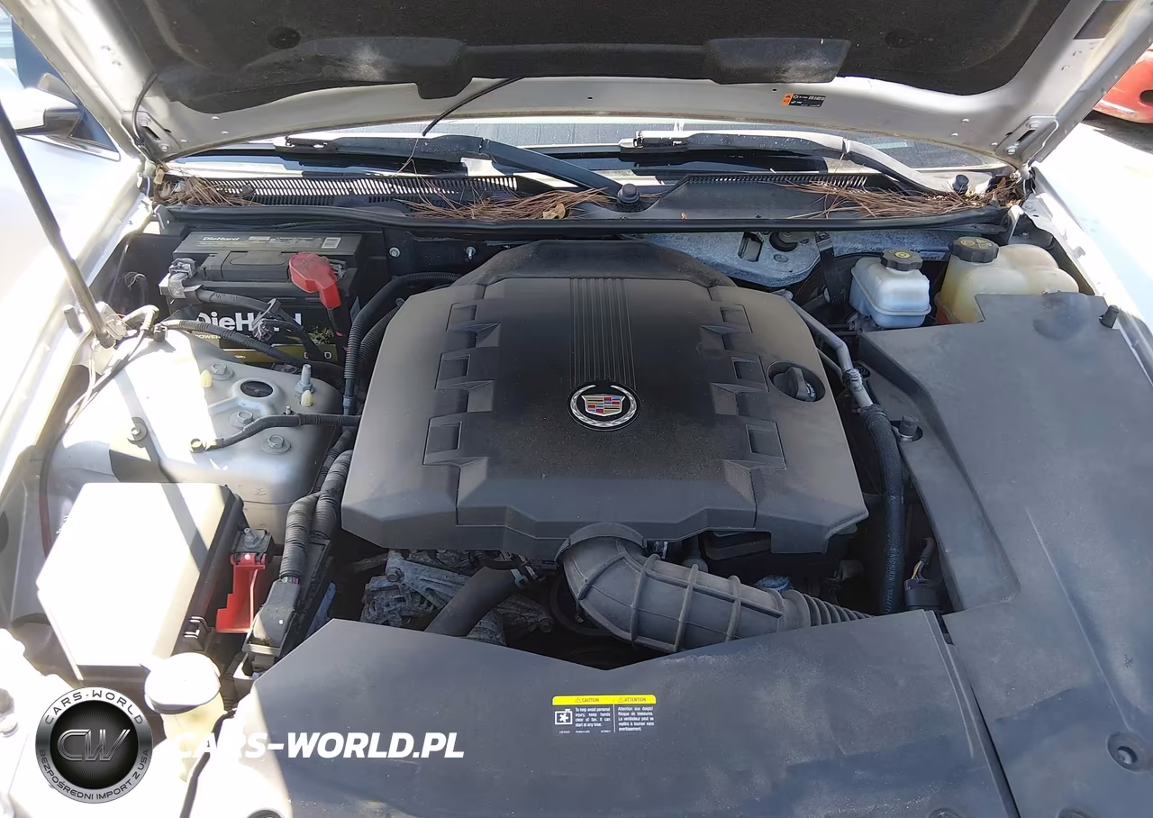 2011 Cadillac Sts Rwd W-1Sb VIN:1G6DW6ED7B0157190 - 10