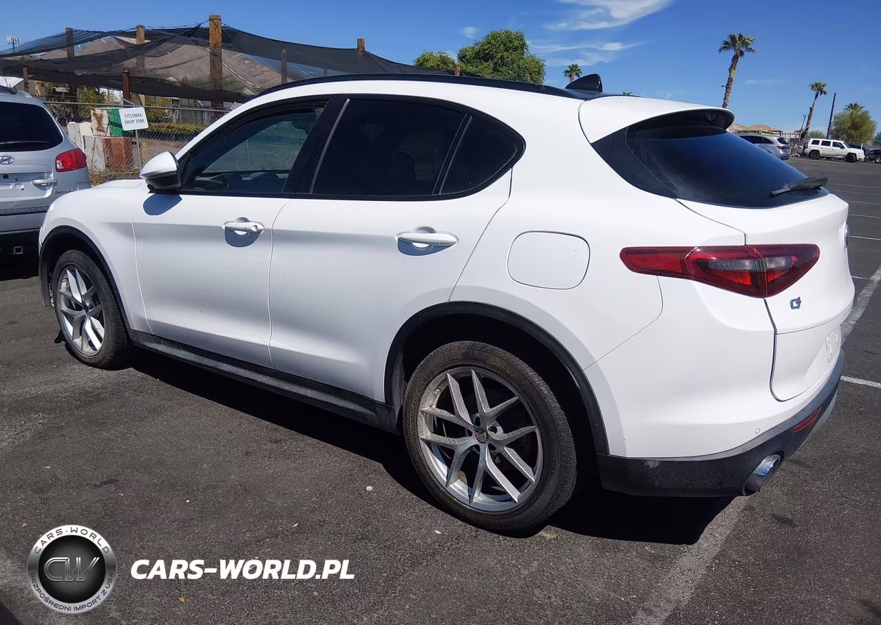 2019 Alfa Romeo Stelvio Ti Sport Awd VIN:ZASPAKBN5K7C30215 - 3