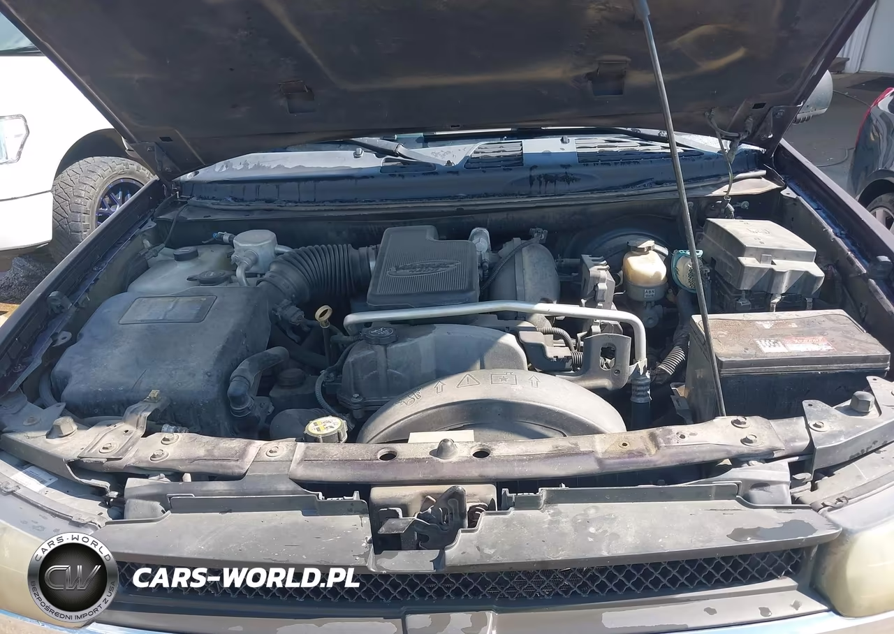 2008 Chevrolet Trailblazer Fleet VIN:1GNDS13S582252008 - 10