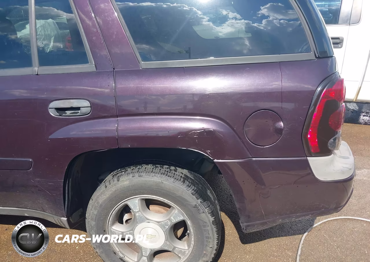 2008 Chevrolet Trailblazer Fleet VIN:1GNDS13S582252008 - 12