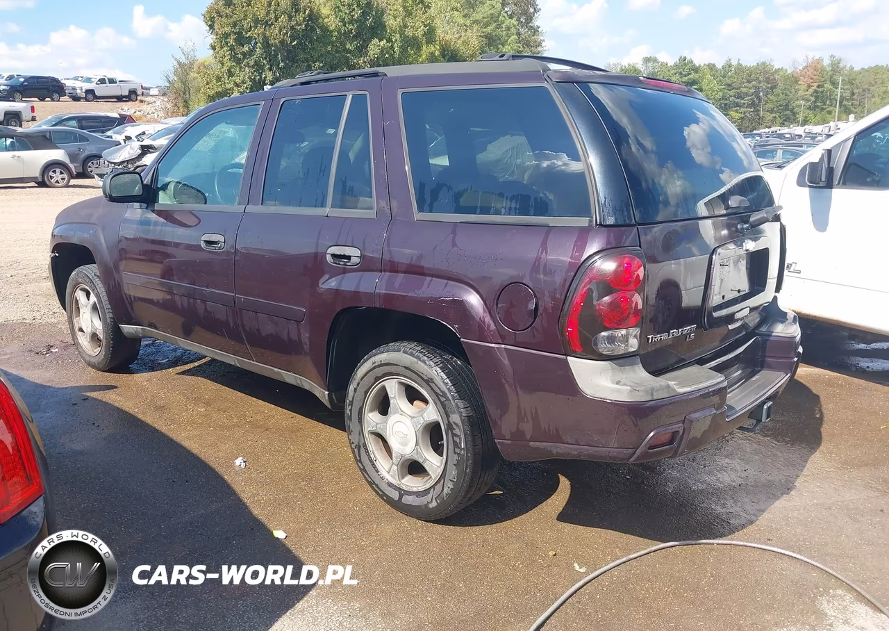 2008 Chevrolet Trailblazer Fleet VIN:1GNDS13S582252008 - 3