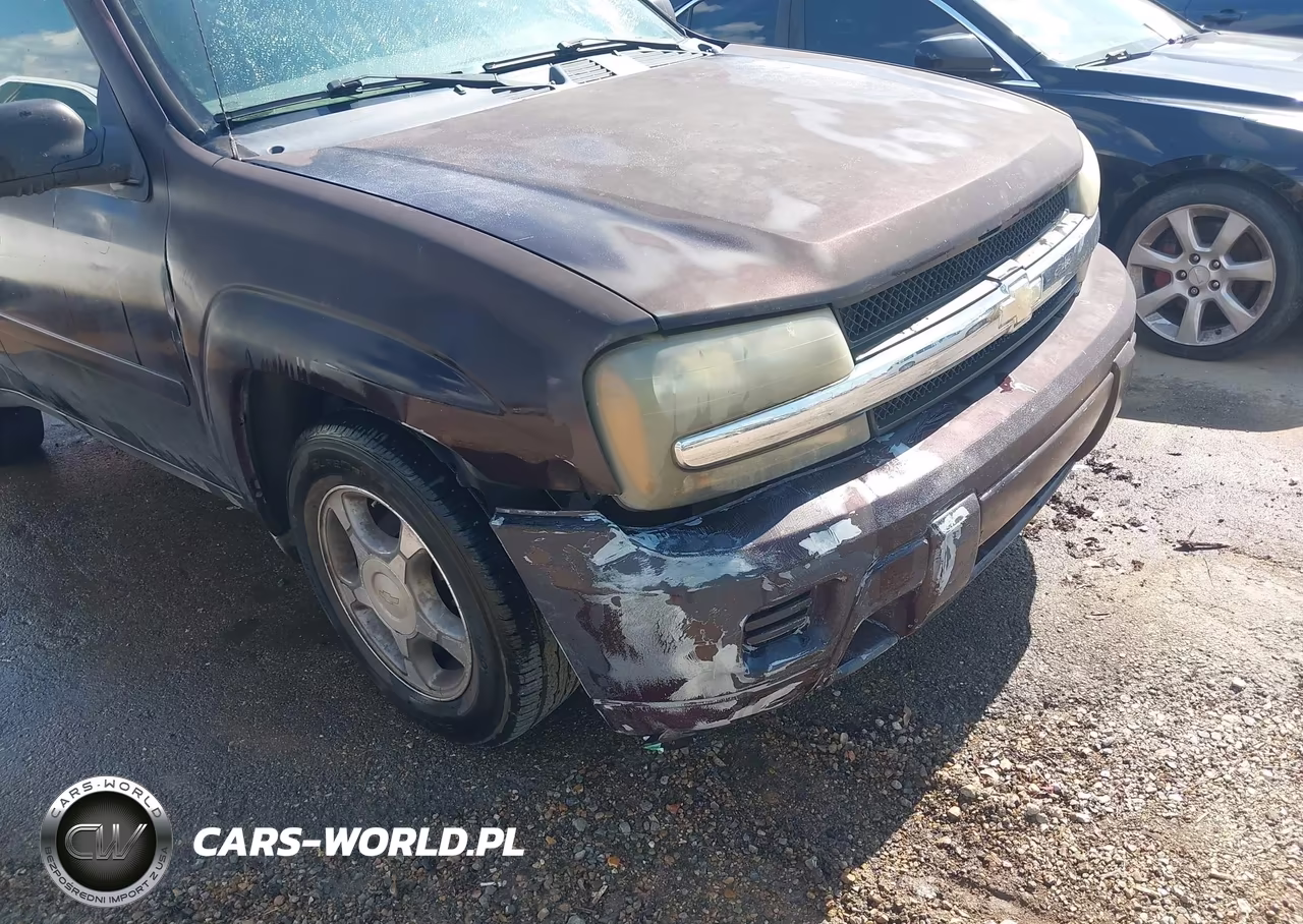 2008 Chevrolet Trailblazer Fleet VIN:1GNDS13S582252008 - 6