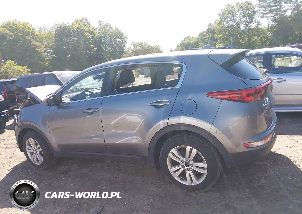 2017 Kia Sportage Lx VIN:KNDPMCAC4H7262670 - 12