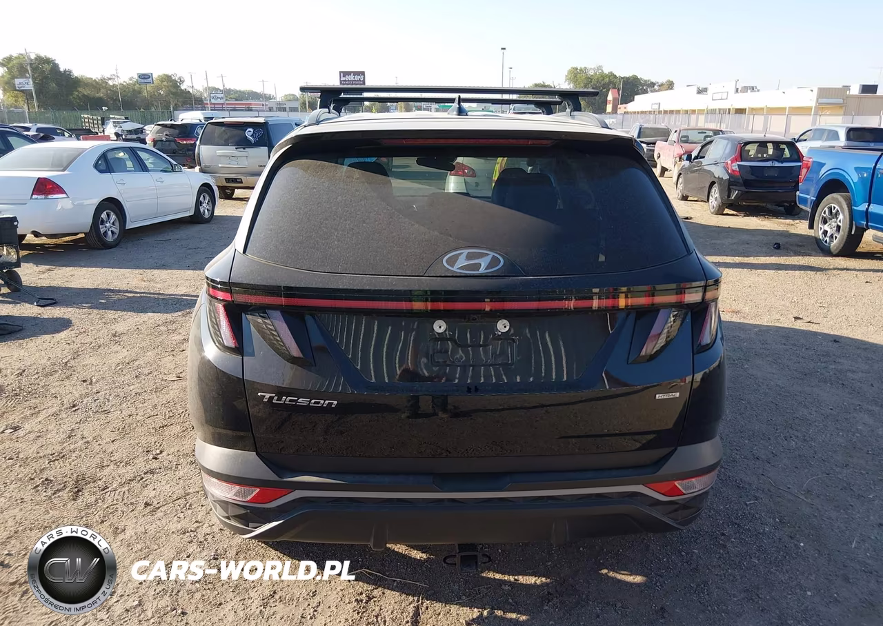 2024 Hyundai Tucson Sel VIN:5NMJFCDE7RH399593 - 17