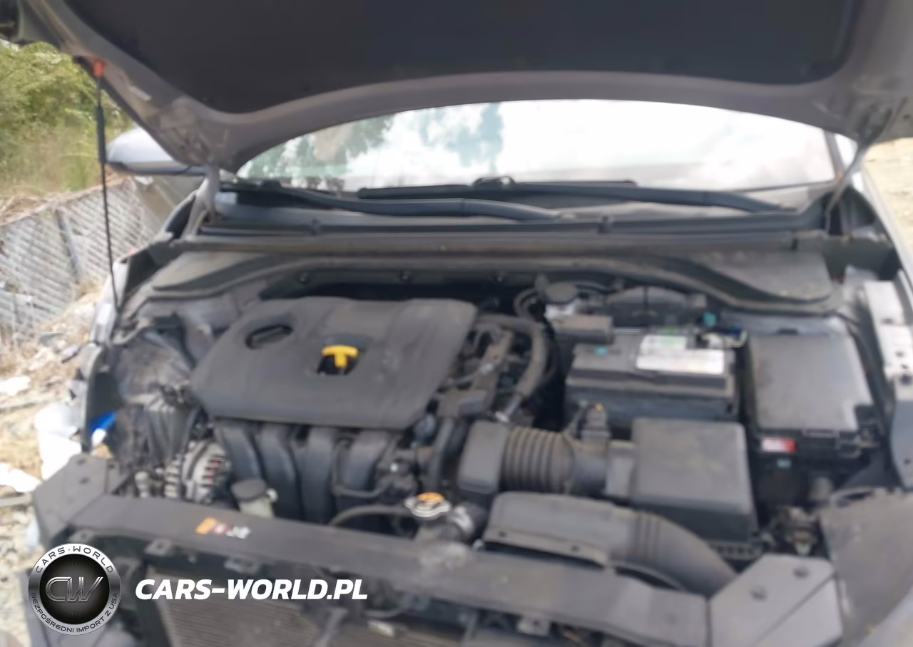 2020 Hyundai Elantra Sel VIN:KMHD84LFXLU099307 - 10