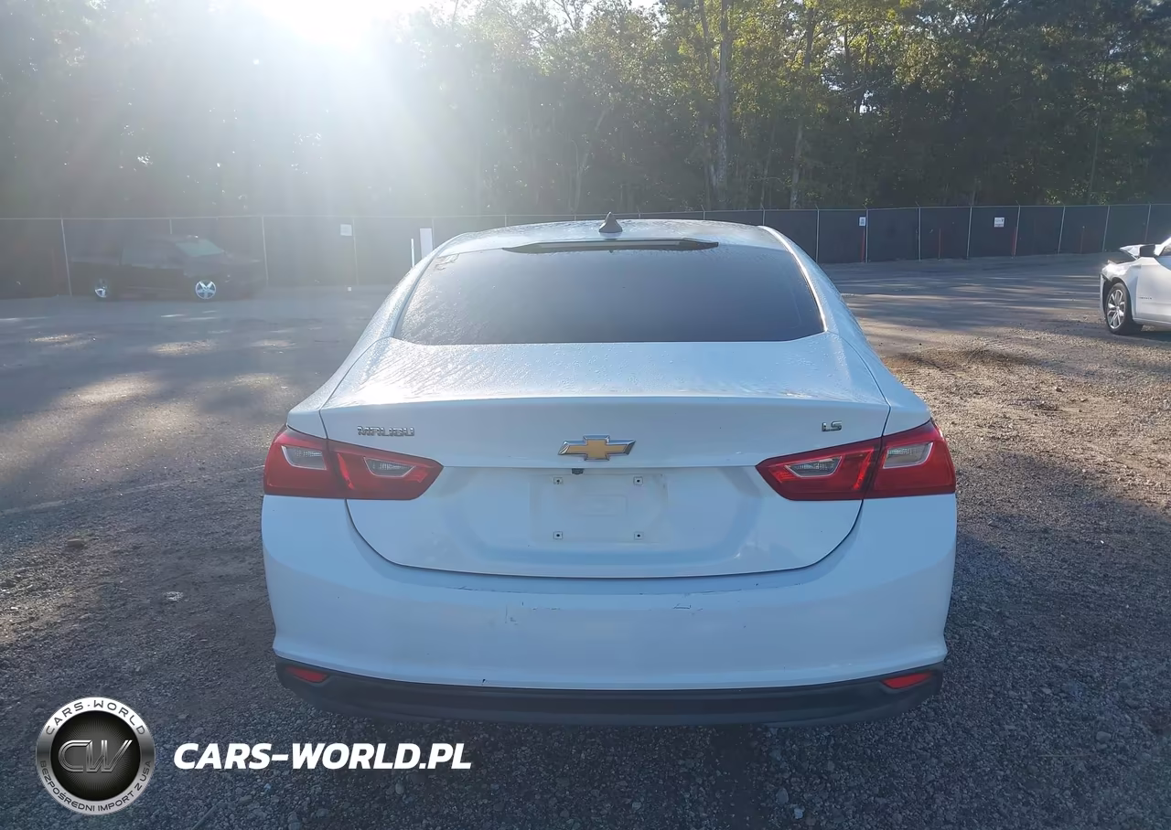 2016 Chevrolet Malibu Ls VIN:1G1ZB5ST6GF354109 - 16