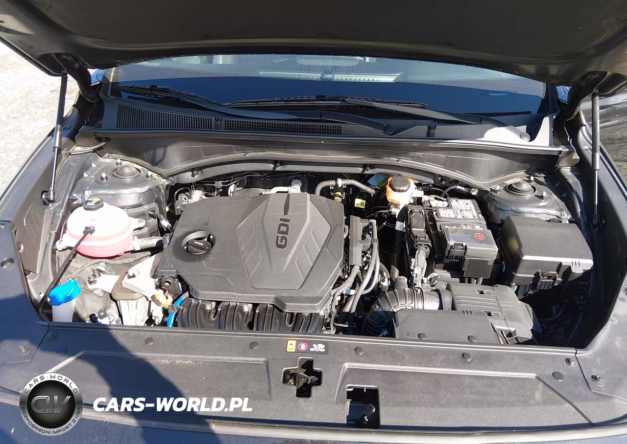 2023 Hyundai Santa Fe Sel VIN:5NMS24AJ2PH657667 - 10