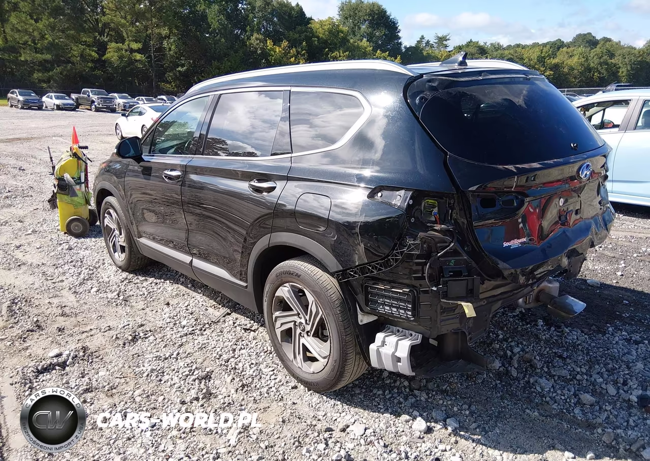 2023 Hyundai Santa Fe Sel VIN:5NMS24AJ2PH657667 - 3