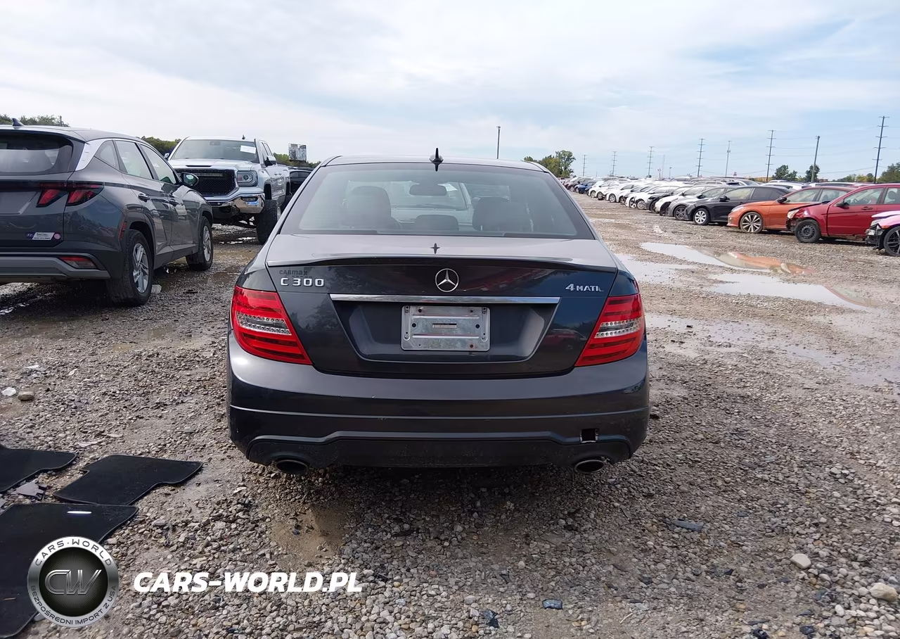 2013 Mercedes-Benz C 300 Sport 4Matic VIN:WDDGF8AB1DG111249 - 17
