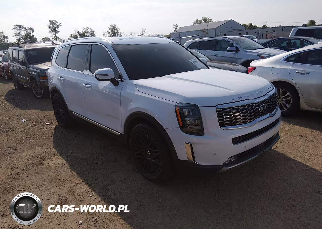 2021 Kia Telluride Sx VIN:5XYP5DHC6MG146506 - 1