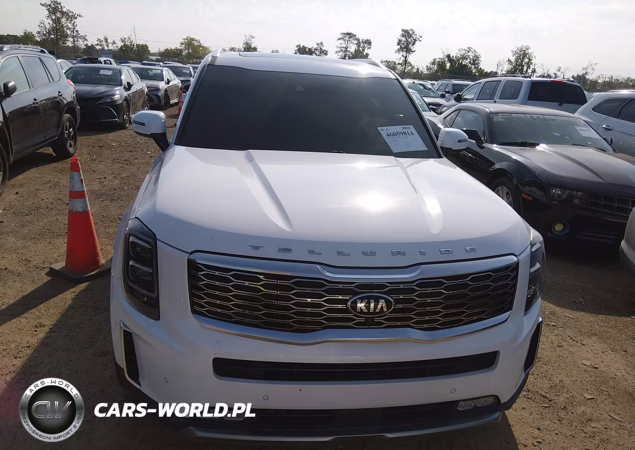 2021 Kia Telluride Sx VIN:5XYP5DHC6MG146506 - 12