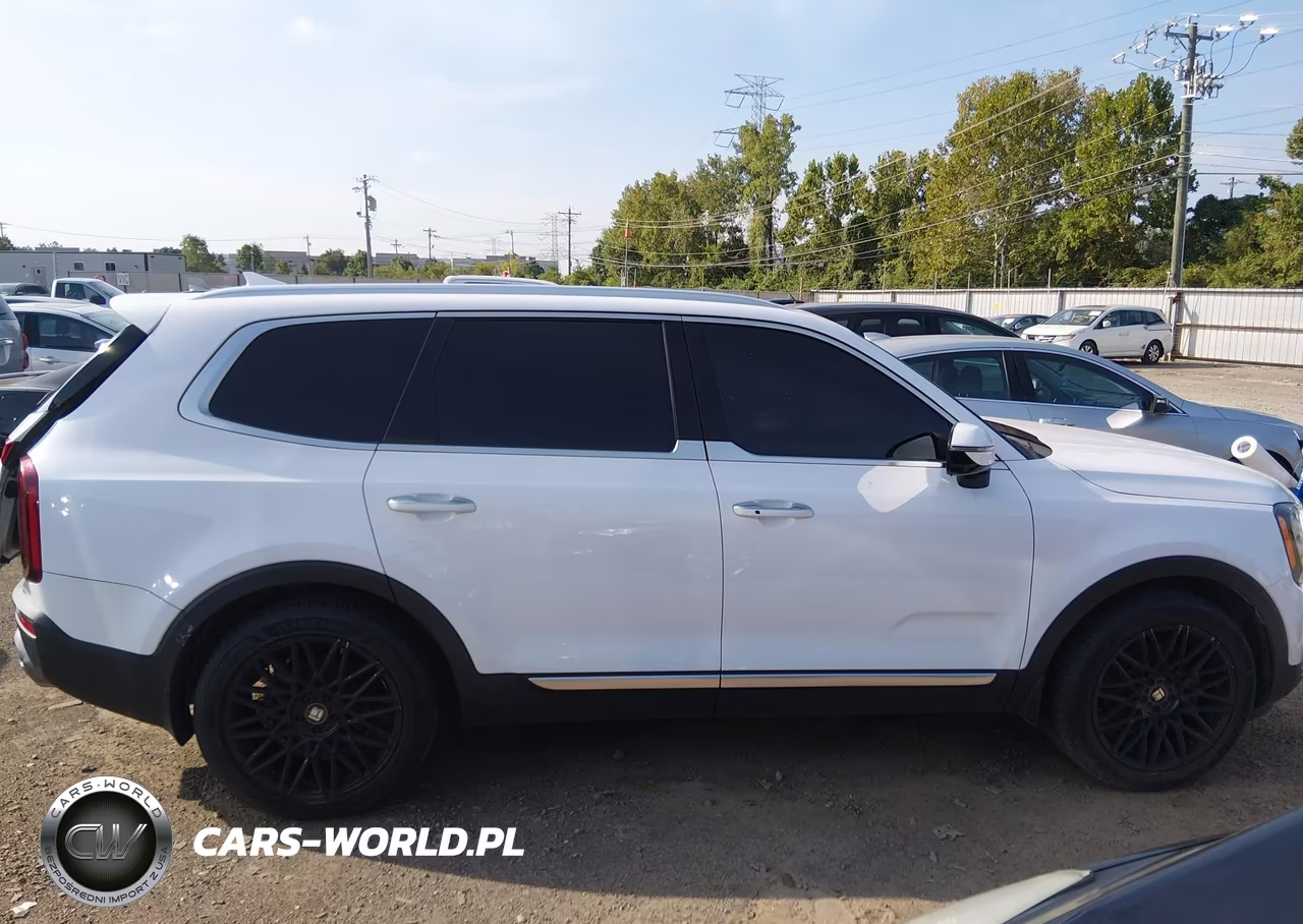 2021 Kia Telluride Sx VIN:5XYP5DHC6MG146506 - 13