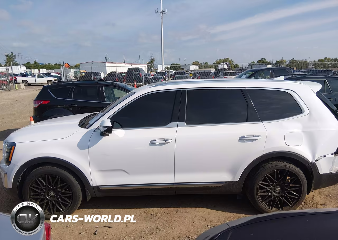 2021 Kia Telluride Sx VIN:5XYP5DHC6MG146506 - 14