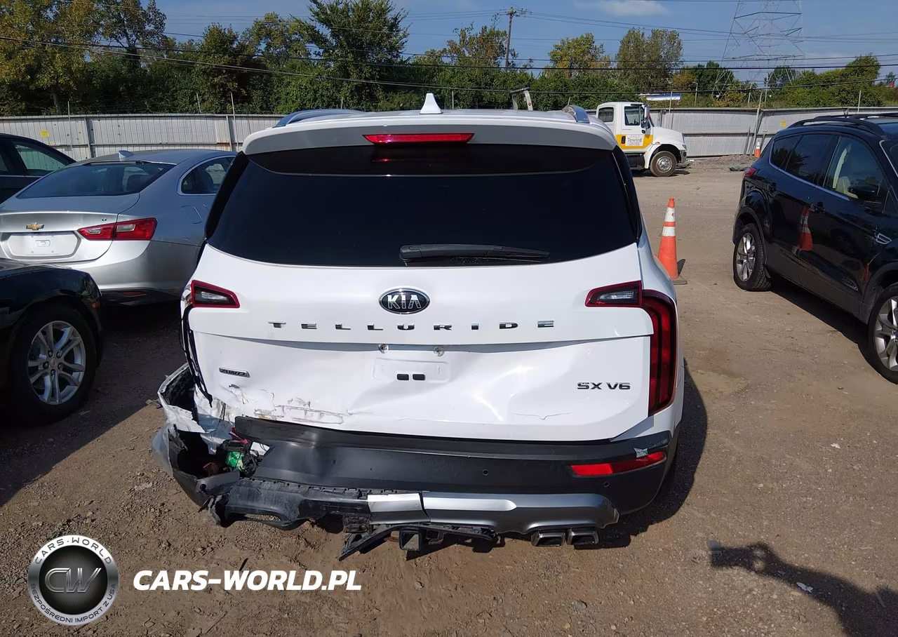 2021 Kia Telluride Sx VIN:5XYP5DHC6MG146506 - 16