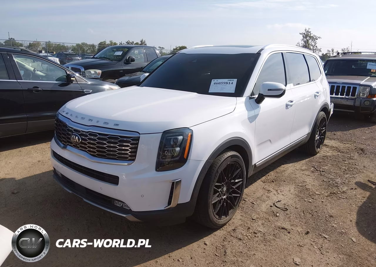 2021 Kia Telluride Sx VIN:5XYP5DHC6MG146506 - 2