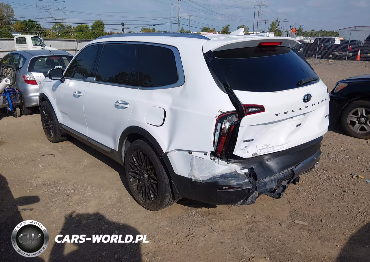 2021 Kia Telluride Sx VIN:5XYP5DHC6MG146506 - 3