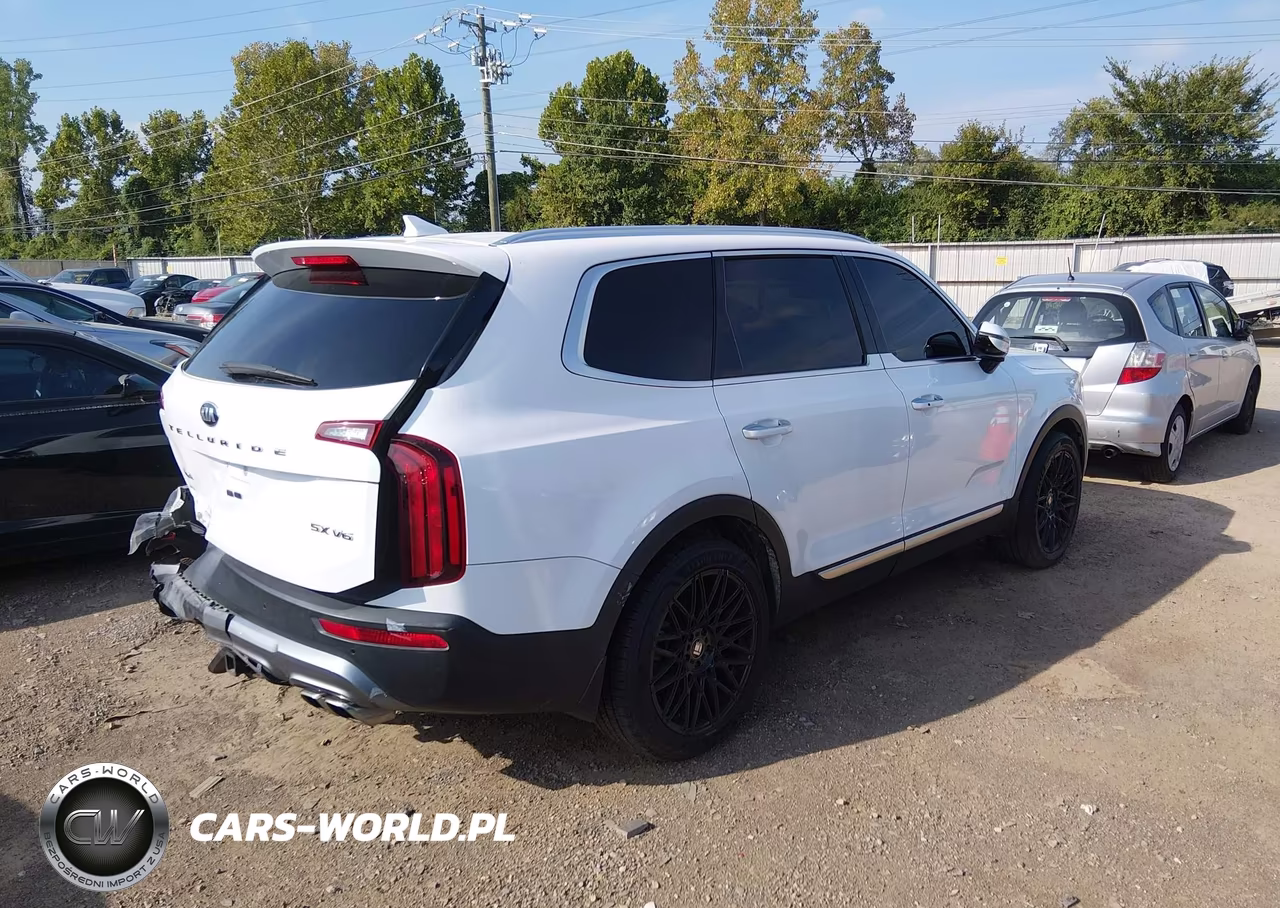 2021 Kia Telluride Sx VIN:5XYP5DHC6MG146506 - 4