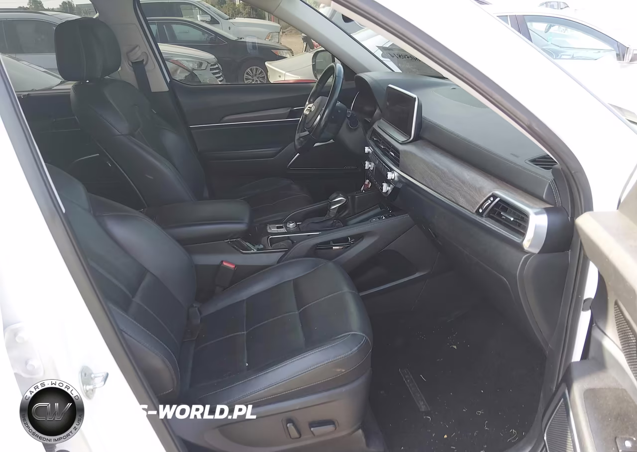 2021 Kia Telluride Sx VIN:5XYP5DHC6MG146506 - 5
