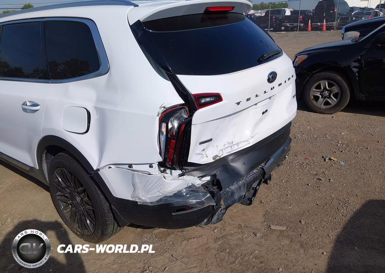2021 Kia Telluride Sx VIN:5XYP5DHC6MG146506 - 6